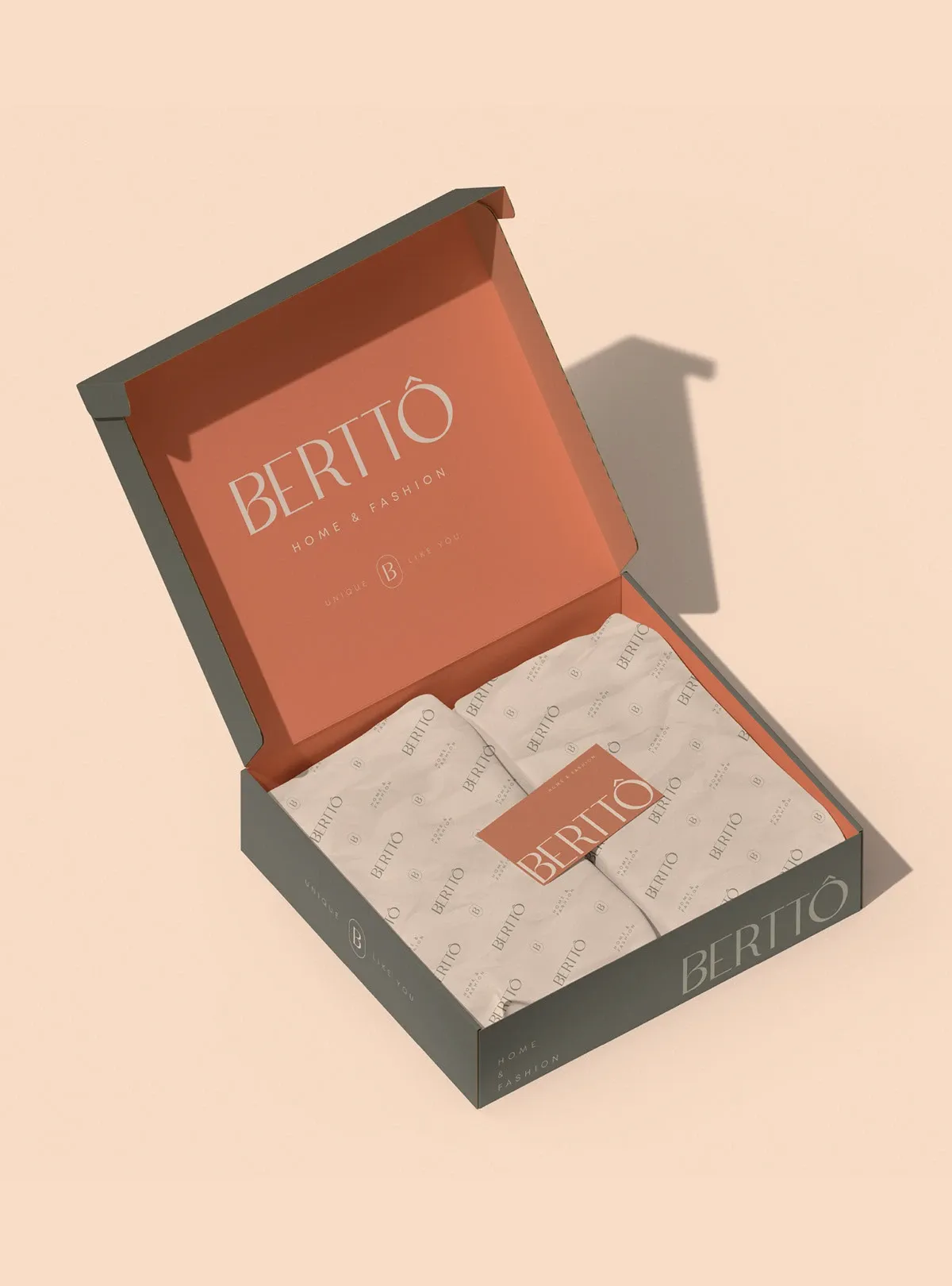 Projeto Berttô, imagem 8